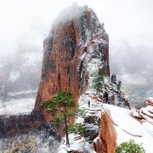 Meet your Posher, Jayson